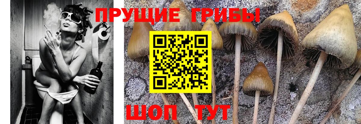 Галлюциногенные грибы MAGIC MUSHROOMS Коммунар