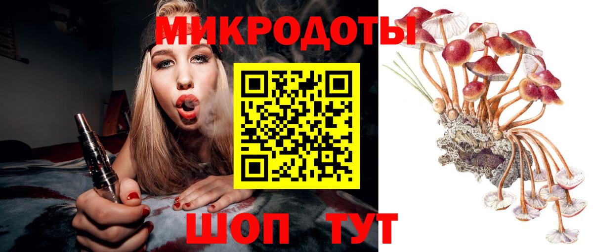 Коммунар  Псилоцибиновые грибы прущие грибы  Вход с VPN 